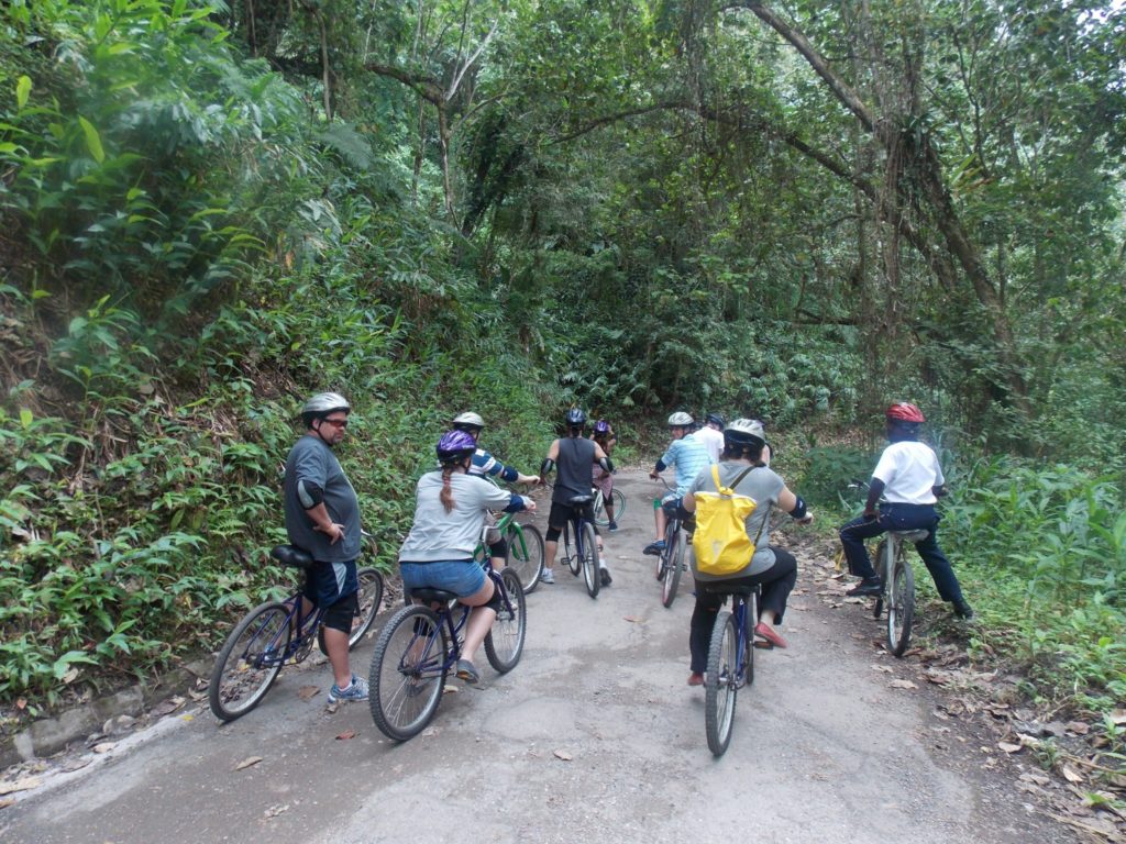 Blue mountain clearance bicycle tours